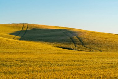 Solgun Washington 'daki manzara