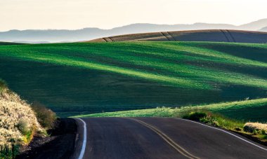 Solgun Washington 'daki manzara