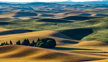 Solgun Washington 'daki manzara