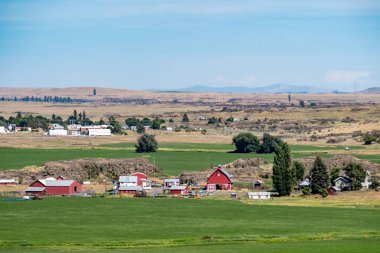 Solgun Washington 'daki manzara