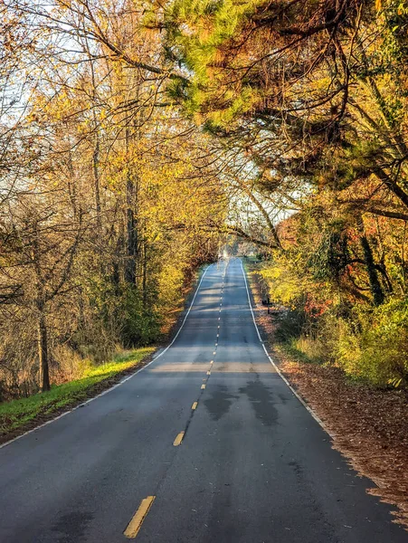 ノースカロライナ州の秋のブルーリッジ山脈 — ストック写真