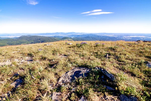 Όμορφη Γραφική Θέα Στη Φύση Spokane Βουνό Στην Πολιτεία Της — Φωτογραφία Αρχείου