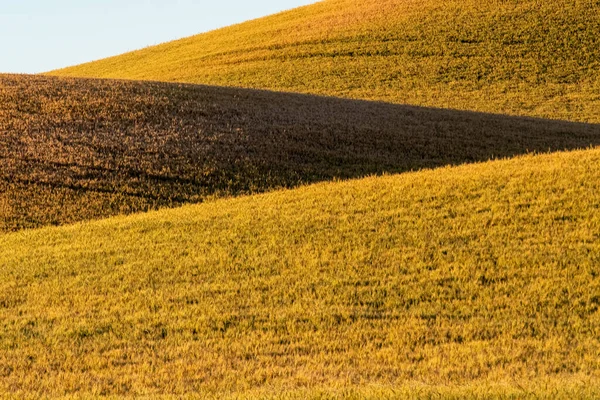 stock image landscape scenes in palouse washington