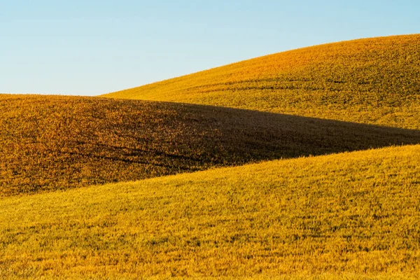 Landskapsscener Washington Palouse – stockfoto