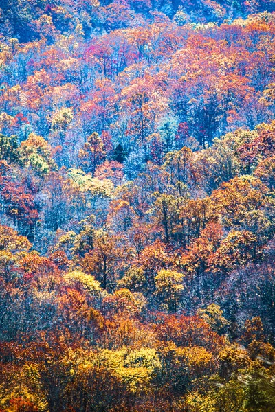 Blue Ridge Mountains Autumn North Carolina — Stock Photo, Image