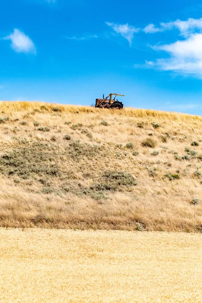 Harvesting Crops Palouse Washington Wheat Fields Summer — Stock Photo, Image