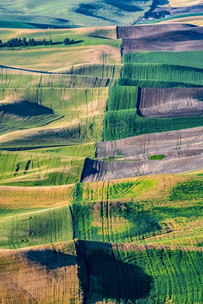 Solgun Washington Daki Manzara — Stok fotoğraf