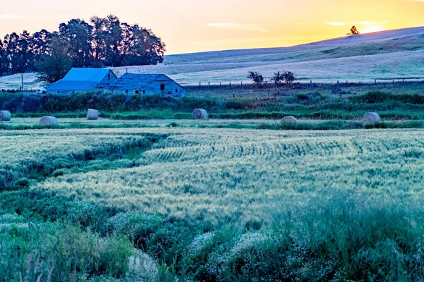 Landschap Scènes Palouse Washington — Stockfoto