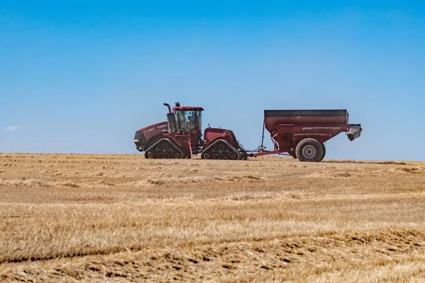 Yazın Solgun Washington Buğday Tarlalarında Mahsul Hasat Etmek — Stok fotoğraf