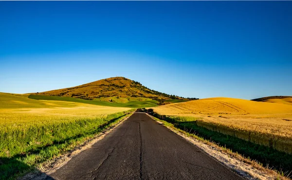 steptoe butte parkı ve tarım arazisi çevresindeki doğa sahneleri