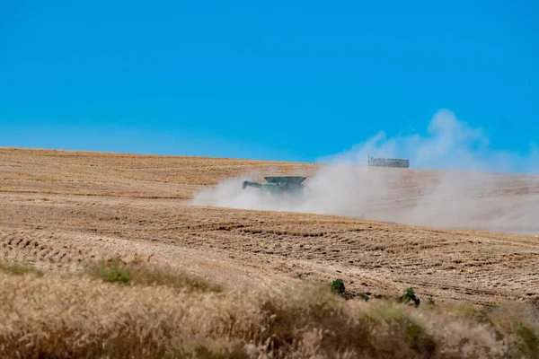 Уборка Урожая Палубных Полях Пшеницы Летом — стоковое фото
