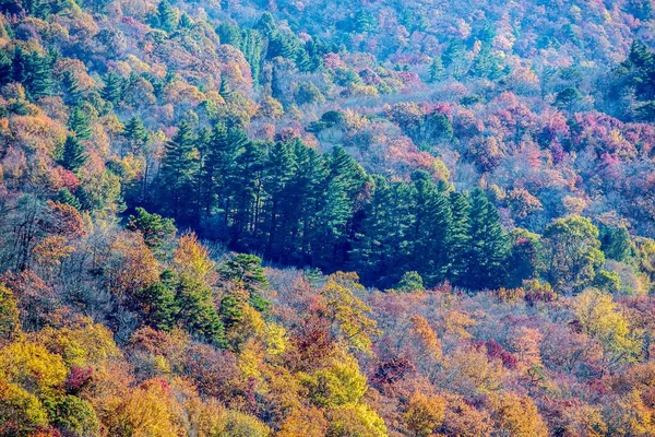 Blue Ridge Mountains in autumn in North Carolina