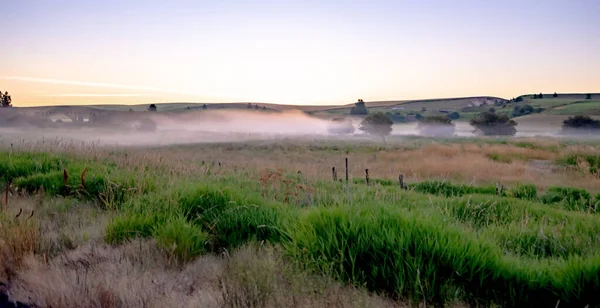 Přírodní Scenérie Kolem Stepi Butte Park Zemědělské Půdy — Stock fotografie