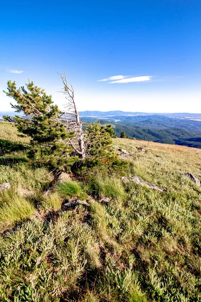 Belas Vistas Panorâmicas Natureza Montanha Spokane Estado Washington — Fotografia de Stock
