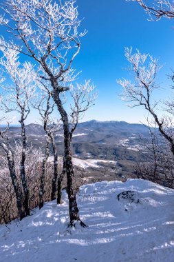 Kuzey Carolina kayın dağı yakınlarındaki kış ve kar manzarası