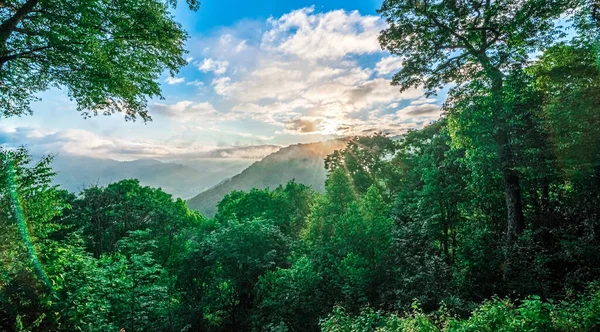 Piękne Krajobrazy Natury Dolinie Maggie Północnej Karoliny — Zdjęcie stockowe