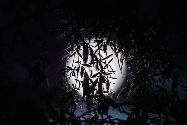 Abstraite Pleine Lune Sur Fond Ciel Sombre — Photo