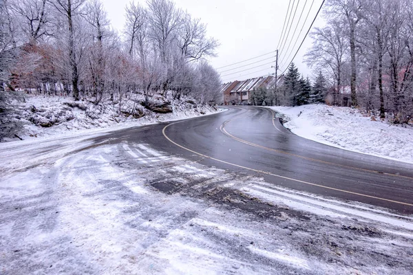 Inverno Neve Scenario Vicino Faggio Montagna Nord Carolina — Foto Stock