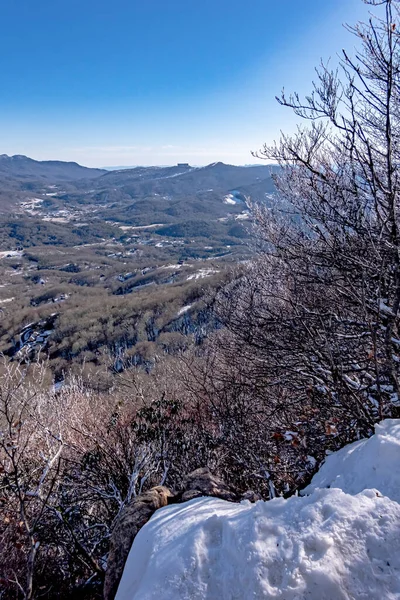 北カロライナのブナ山付近の冬と雪景色 — ストック写真