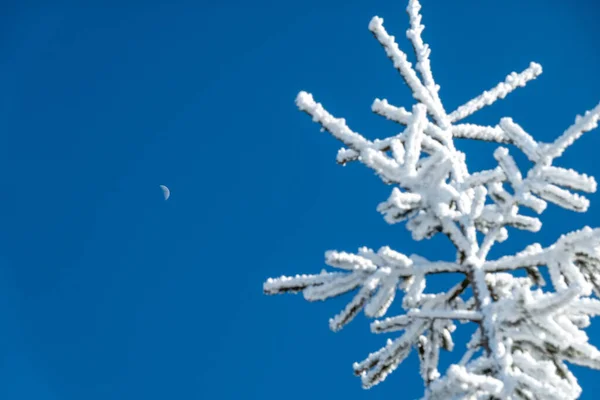 Χειμώνα Και Χιόνι Τοπίο Κοντά Στο Βουνό Οξιά Βόρεια Καρολίνα — Φωτογραφία Αρχείου