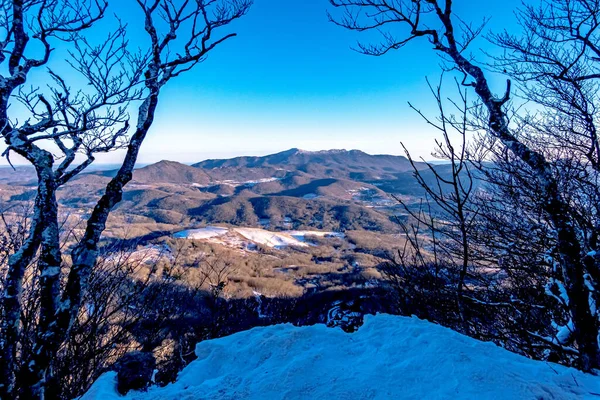 Зимний Снежный Пейзажи Рядом Буковой Горой Северной Каролины — стоковое фото