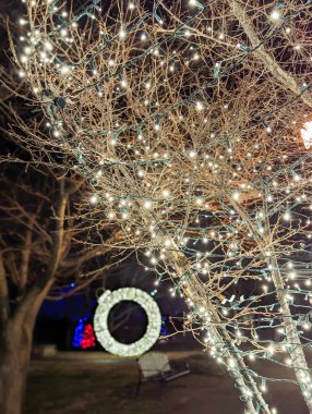 Belmont NC 'de Noel zamanı serin akşam kış sahneleri