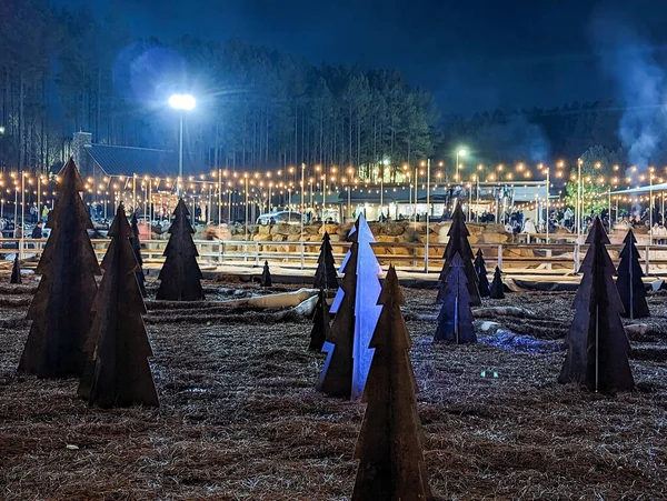 Schöne Eisbahn Freien Bei Nacht Mit Lichtern — Stockfoto