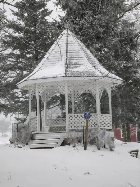 Sztuka Altanie Lesie Zimą — Zdjęcie stockowe