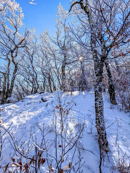 Landskap Och Vinter Scener Bok Berg Norra Carolina — Stockfoto