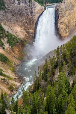 Yellowstone Ulusal Parkı 'nda Lower Yellowstone Falls 