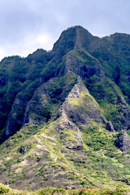 Pasifik Okyanusu 'ndaki güzel Oahu Hawaii plaj manzaraları