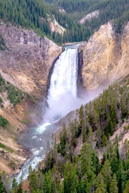 Yellowstone Ulusal Parkı 'nda Lower Yellowstone Falls 
