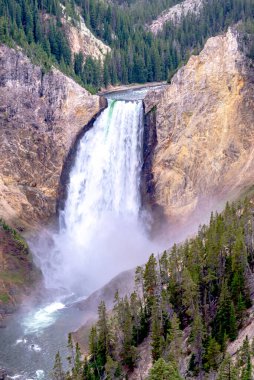 Yellowstone Ulusal Parkı 'nda Lower Yellowstone Falls 