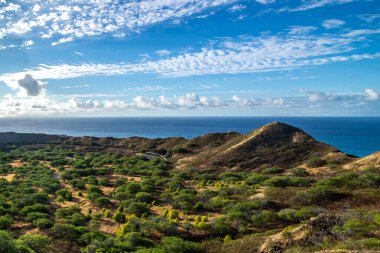 Güneşli bir günde Elmaskafa Ulusal Parkı Oahu Hawaii 'deki sahneler