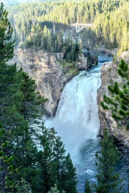 Yellowstone Grand Canyon 'daki Lower Falls, Artist Point' ten görüldü. Yellowstone Ulusal Parkı, Wyoming, ABD