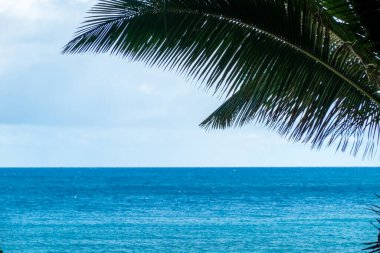 Hawaii 'deki oahu adası kuzey kıyısı okyanus manzarası