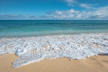 Hawaii 'deki oahu adası kuzey kıyısı okyanus manzarası