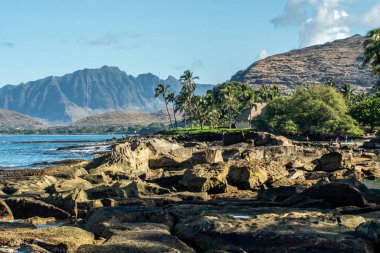 Güzel mavi gökyüzü ve kumsal sahneleri gizli kumsalda Oahu Hawaii