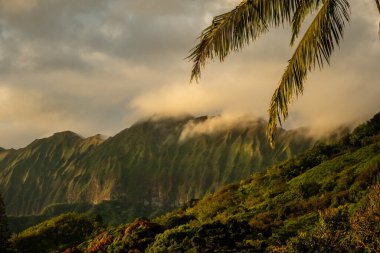 Oahu Hawaii 'nin güzel adası doğa sahneleri