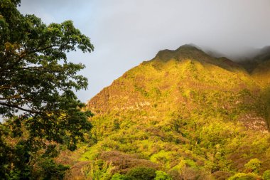 Hawaii 'deki Oahu Adası' ndaki Pali Gözcüsü 'nden bir panoramik hava görüntüsü..