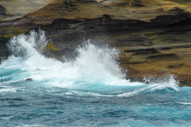 Hawaii Oahu sahil dalgaları kayalıklara çarpıyor.