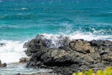 Hawaii Oahu sahil dalgaları kayalıklara çarpıyor.