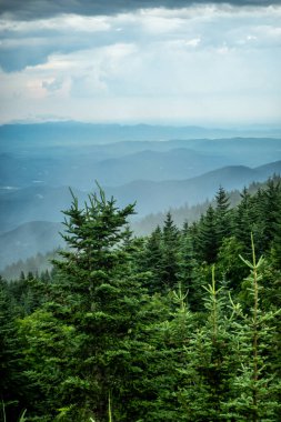 Kuzey Carolina 'daki Blue Ridge Otoyolu' ndan Asheville 'e doğru sabah sürüşü.