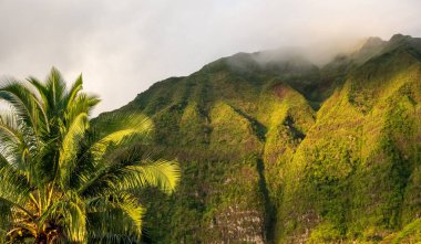 Hawaii 'deki Oahu Adası' ndaki Pali Gözcüsü 'nden bir panoramik hava görüntüsü..