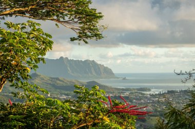 Hawaii 'deki Oahu Adası' ndaki Pali Gözcüsü 'nden bir panoramik hava görüntüsü..