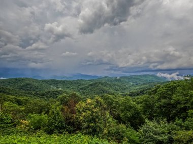 Kuzey Carolina 'daki Blue Ridge Dağları' nın güzel manzarası