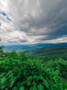 Blue Ridge Parkı manzarası dışında kaya manzaralı bir yer. 