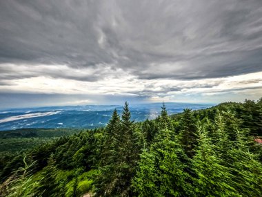 Kuzey Carolina 'daki Blue Ridge Dağları' nın güzel manzarası