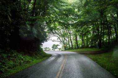 Kuzey Carolina 'daki Blue Ridge Otoyolu' ndan Asheville 'e doğru sabah sürüşü.