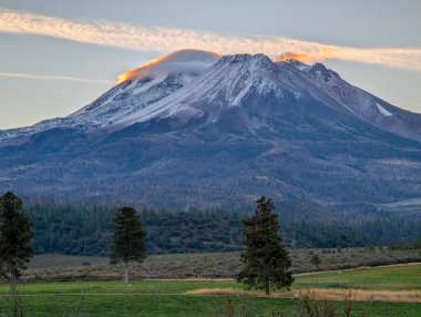 Kaliforniya'da Mounts Shasta ve Shastina doğru Yol, Amerika Birleşik Devletleri Karayolu 97 Kuzey Kaliforniya'da Shasta yanardağı denilen bir dağa doğru güneye doğru gidiyor, ABD